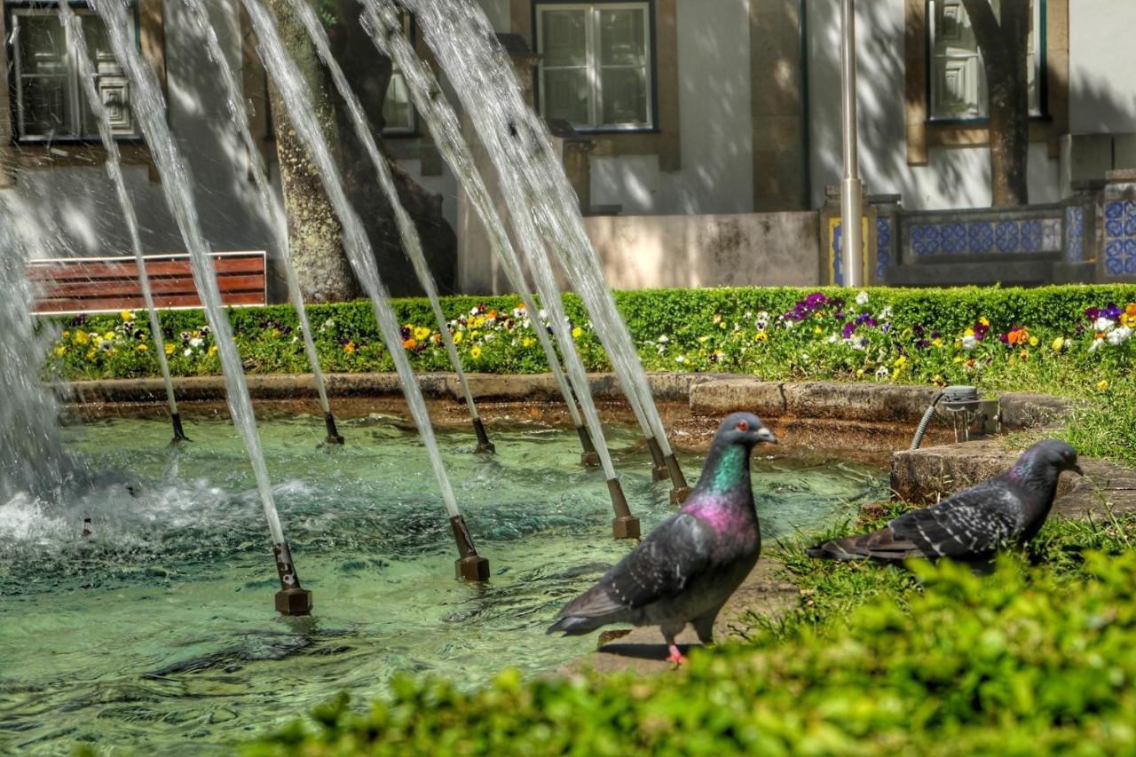 Casa Da Avo Zirinha Villa Viseu Dış mekan fotoğraf
